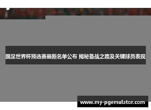国足世界杯预选赛最新名单公布 揭秘备战之路及关键球员表现