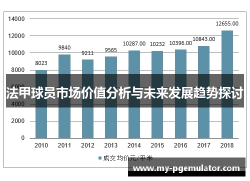 法甲球员市场价值分析与未来发展趋势探讨