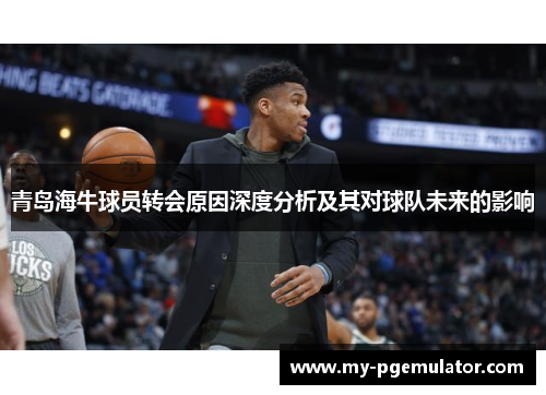 青岛海牛球员转会原因深度分析及其对球队未来的影响