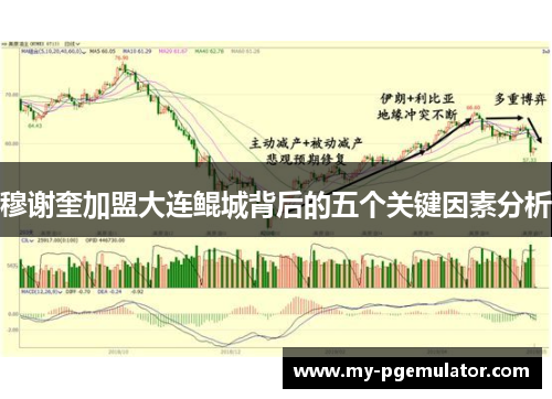 穆谢奎加盟大连鲲城背后的五个关键因素分析