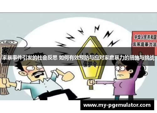 家暴事件引发的社会反思 如何有效预防与应对家庭暴力的措施与挑战