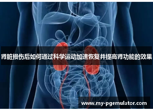 肾脏损伤后如何通过科学运动加速恢复并提高肾功能的效果