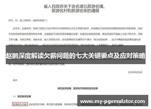 赵鹏深度解读欠薪问题的七大关键要点及应对策略