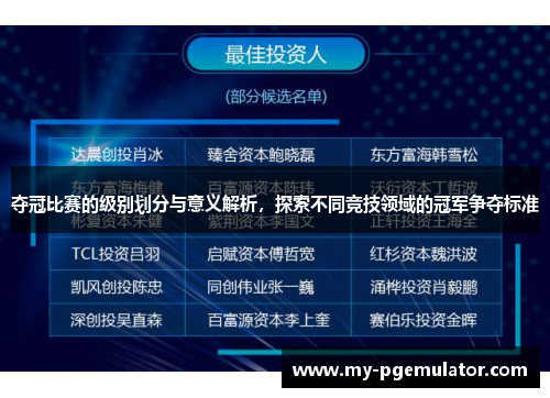 夺冠比赛的级别划分与意义解析，探索不同竞技领域的冠军争夺标准