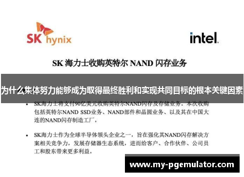 为什么集体努力能够成为取得最终胜利和实现共同目标的根本关键因素